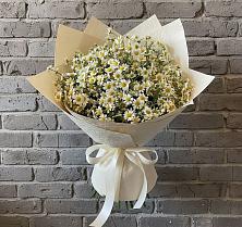 Букет цветов из:  Ромашки #REPLACE_PRED# Верхний Услон