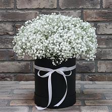 Цветочная композиция из Гипсофила в шляпной коробке в Верхний Услон