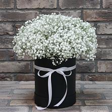 Цветочная композиция из Гипсофила в шляпной коробке в Верхний Услон